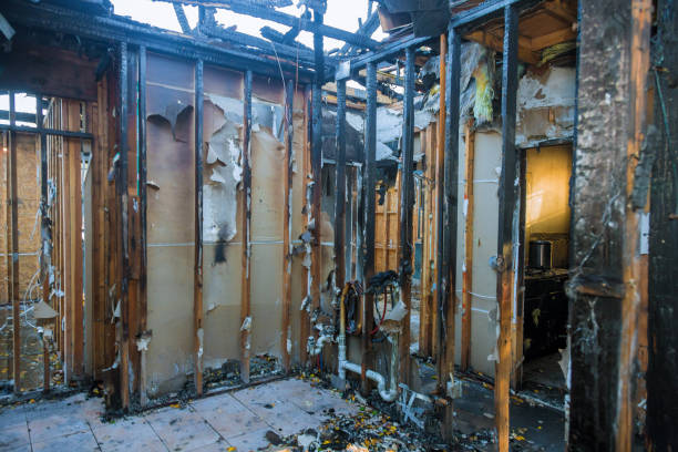 Professional Fire Damage Removal technician working in Laporte, CO